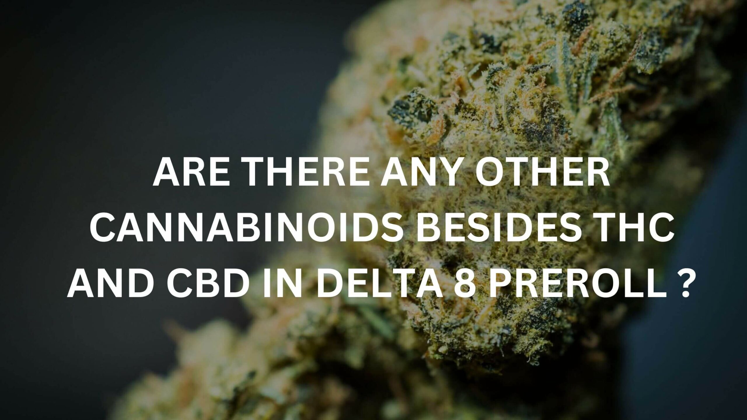 cannabinoids