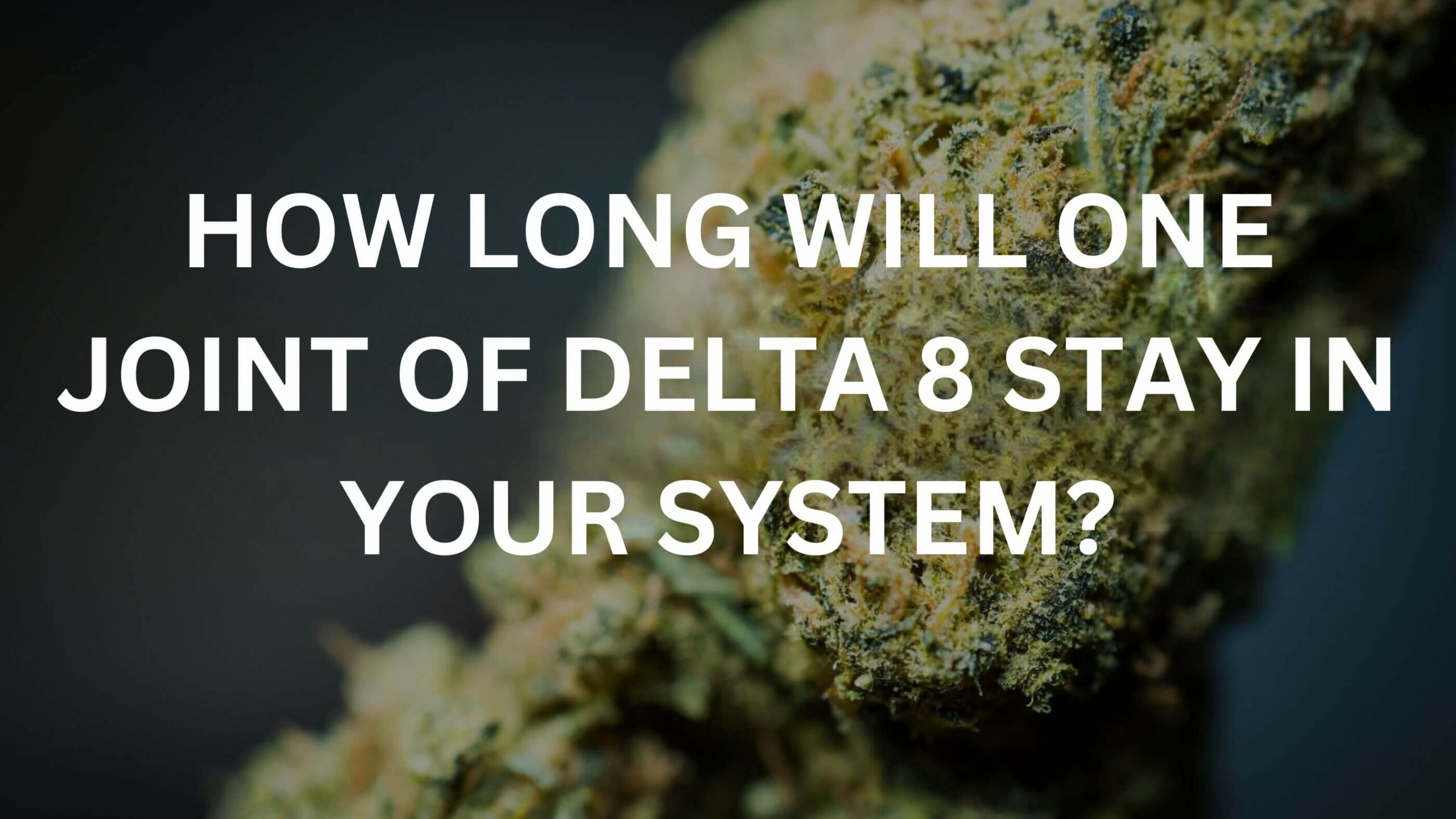 delta 8 in system