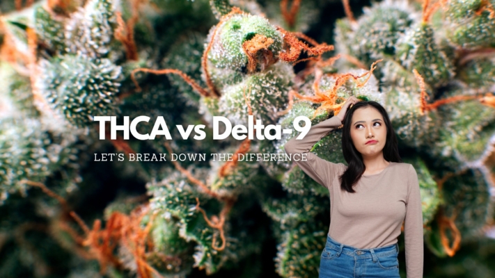 Thca Vs Delta 9: The Difference In These 2 Cannabis Cannabinoids 11 Thca Vs D9 Differences