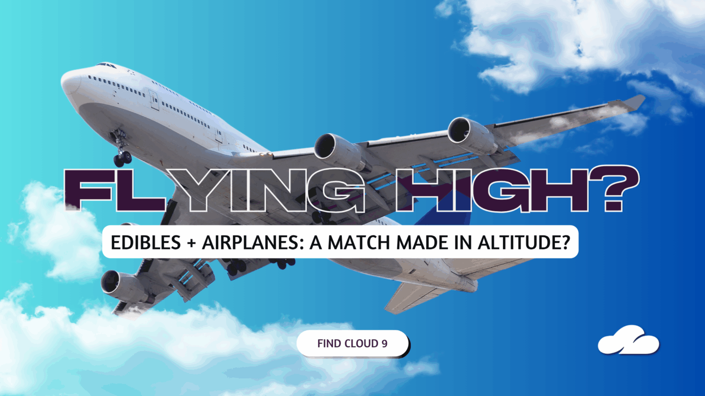 Flying High? A Guide To Taking Edibles On Planes (Legally, Comfortably, And Without Panic) 6 Flying High Header