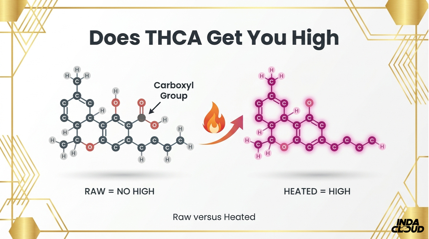 THCA raw versus heated comparison showing how heat removes the carboxyl group and converts THCA into psychoactive THC that causes a high